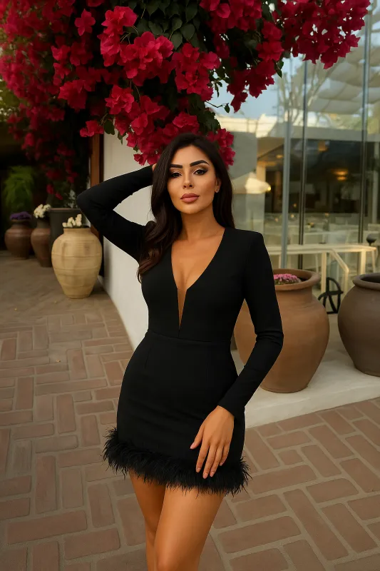 Къса черна рокля с дълги ръкави и пера